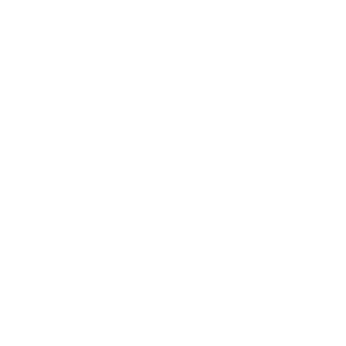 Logo NPC